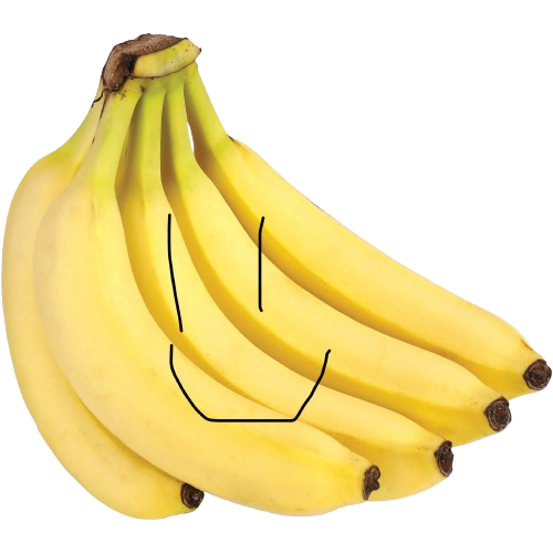 Banana Man